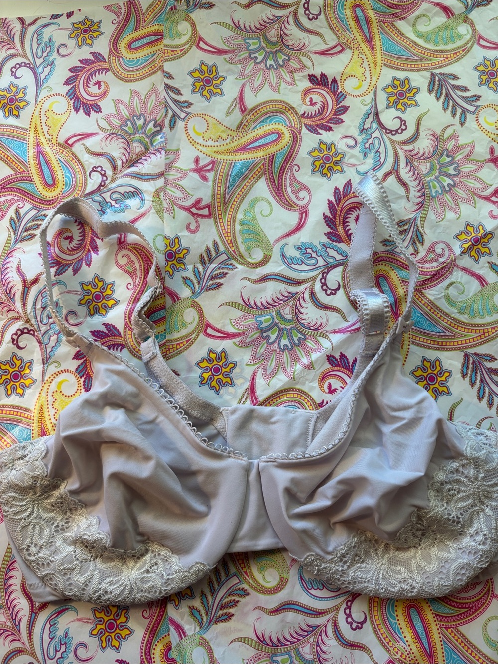 Olga Light Taupe and pink Lace-Trim Underwire Bra